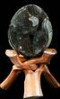 Septarian Dragon Egg Geode - Black Calcite Crystals #34698-1